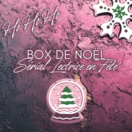 Box de Noël personnalisée avec des goodies, romans au choix, et surprises en édition limitée, parfait pour les lectrices.