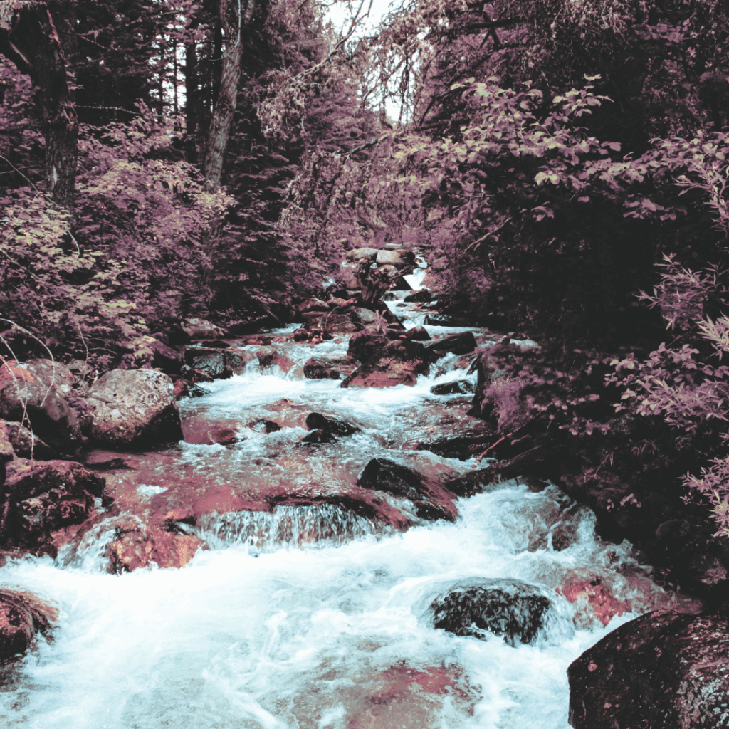Red Lodge 2