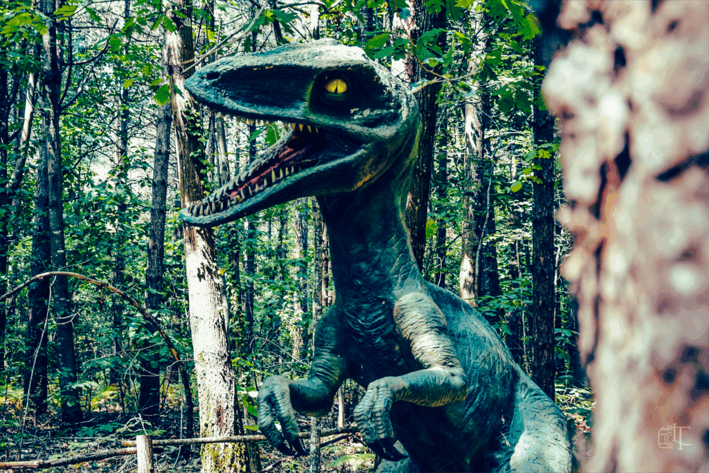 Chateau des aventuriers