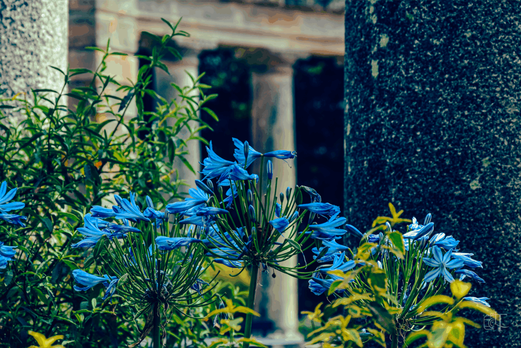 Domaine de la Garenne Lemot