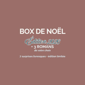 Cadeau de Noël pour lectrice avec trois romans au choix